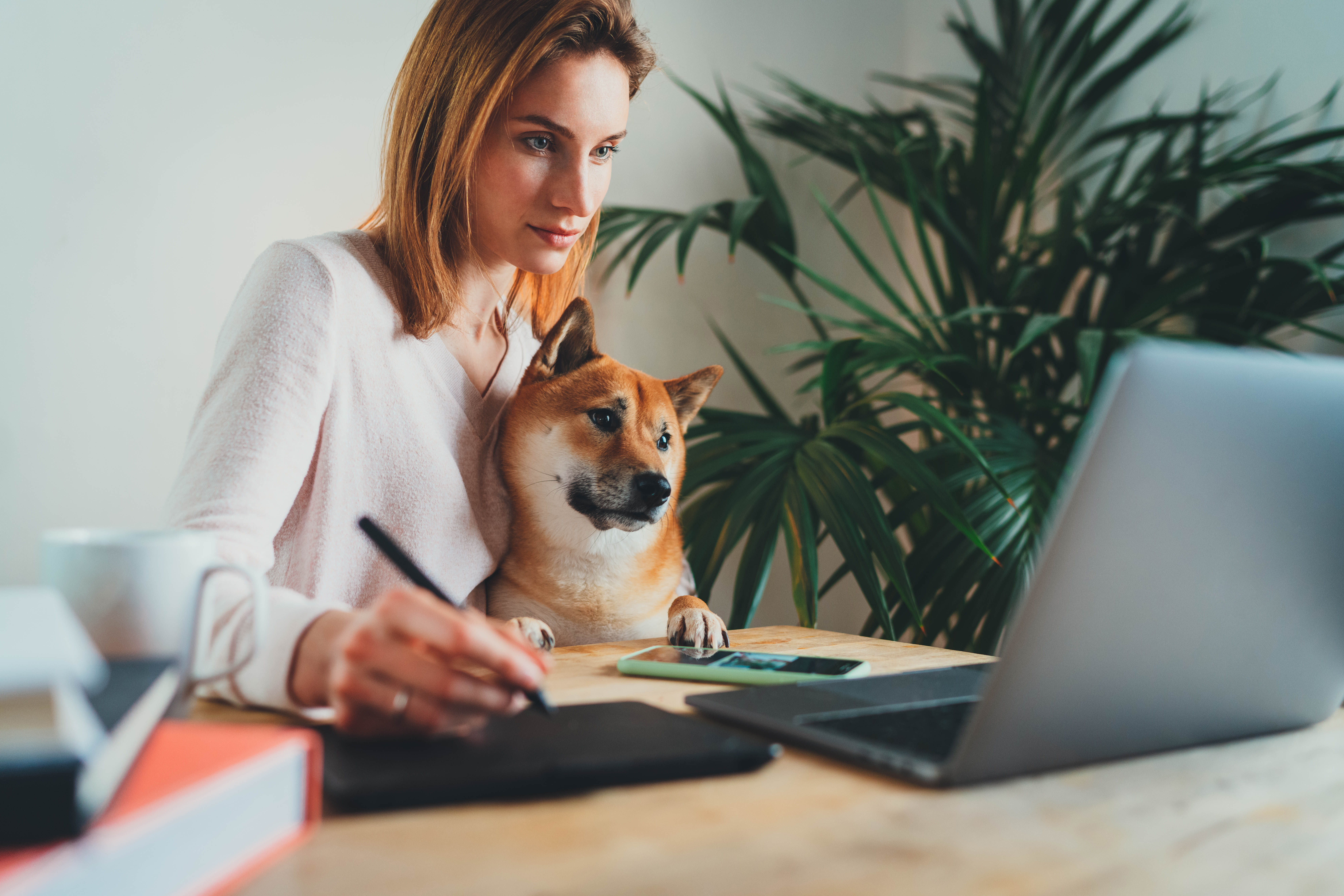 jobhub